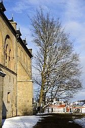 Kaiserpfalz