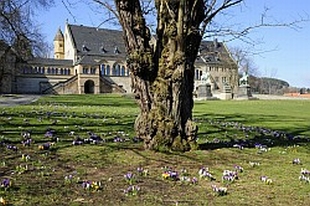 Kaiserpfalz