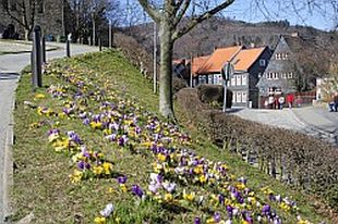 Kaiserpfalz