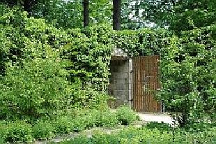 Kaiserpfalz