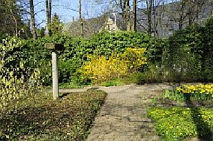 Kaiserpfalz