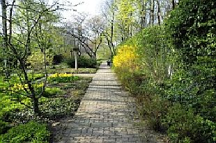 Kaiserpfalz