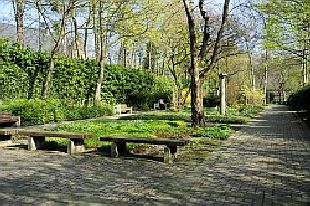 Kaiserpfalz
