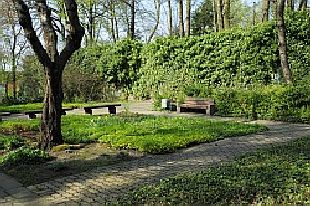 Kaiserpfalz