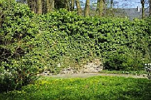 Kaiserpfalz