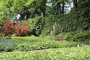 Kaiserpfalz