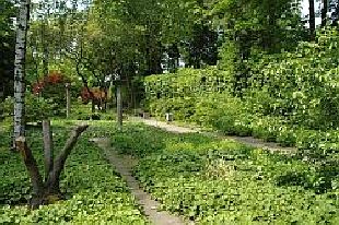 Kaiserpfalz