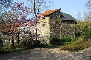 Kaiserpfalz