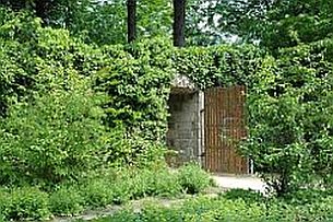 Kaiserpfalz