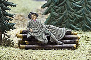 Goslarer Stadtgeschichte